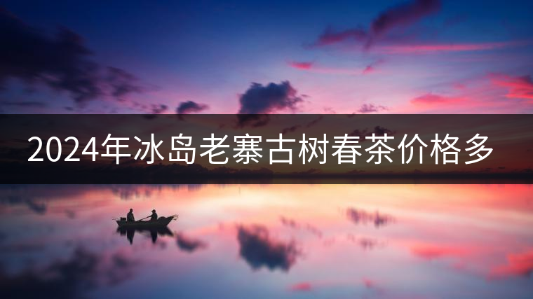 2024年冰島老寨古樹春茶價格多少？