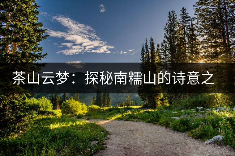 茶山云夢:探秘南糯山的詩意之旅 茶山云夢:探秘南糯山的詩意之旅