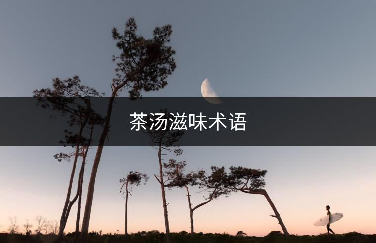 茶湯滋味術語 茶湯滋味術語