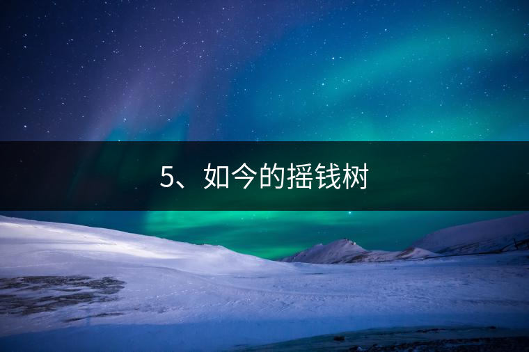 5、如今的搖錢樹