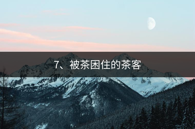 7、被茶困住的茶客