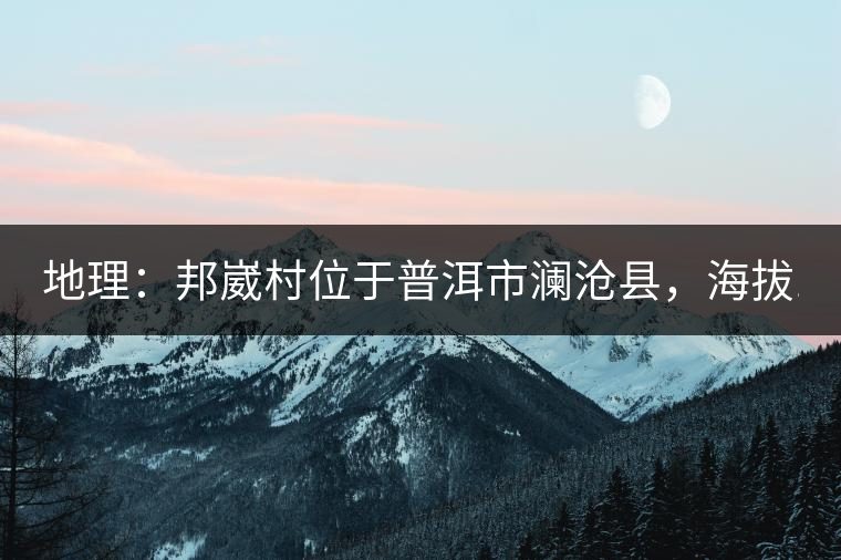 地理：邦崴村位于普洱市瀾滄縣，海拔1800-2000多米，這里的古樹茶被原始森林環(huán)抱，遠(yuǎn)離塵囂污染，沒有農(nóng)藥化肥。