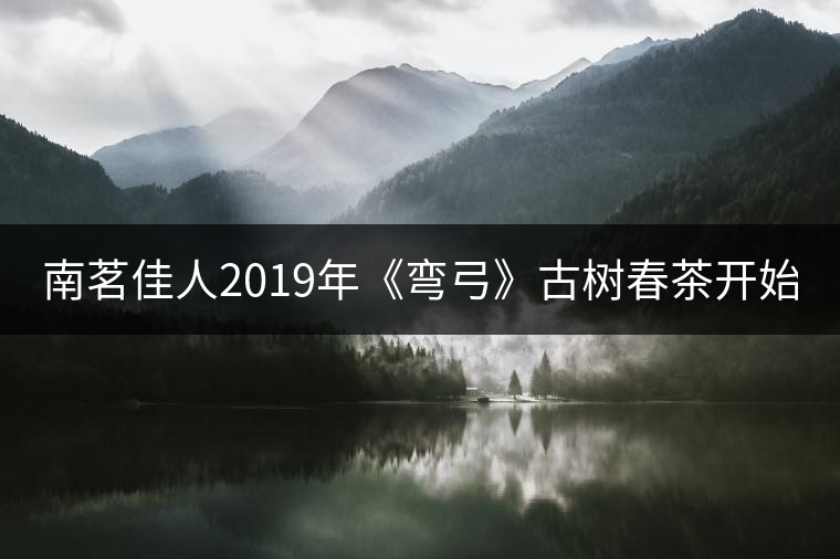 南茗佳人2019年《彎弓》古樹春茶開始預售啦！