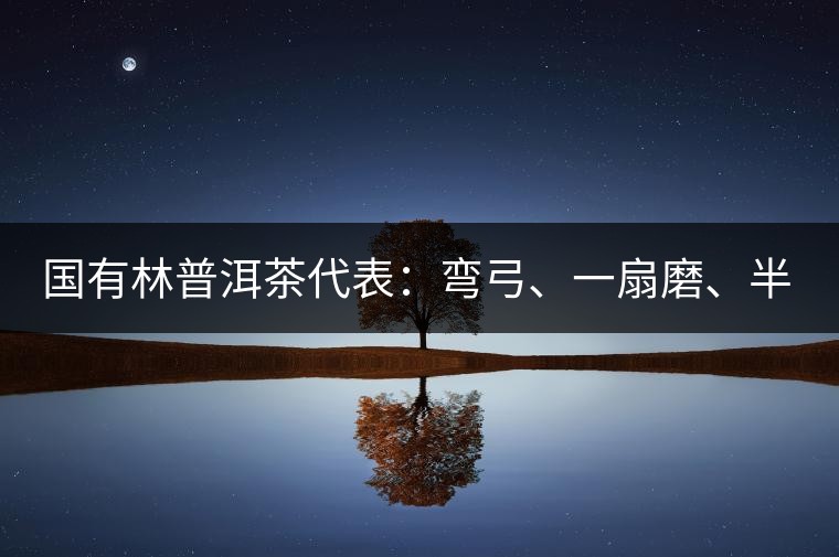 國有林普洱茶代表：彎弓、一扇磨、半坡老寨