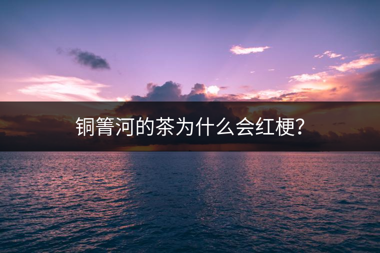 銅箐河的茶為什么會紅梗？