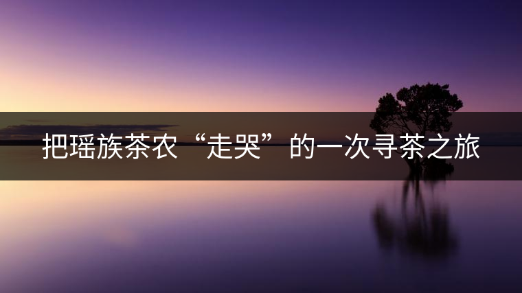 把瑤族茶農(nóng)“走哭”的一次尋茶之旅