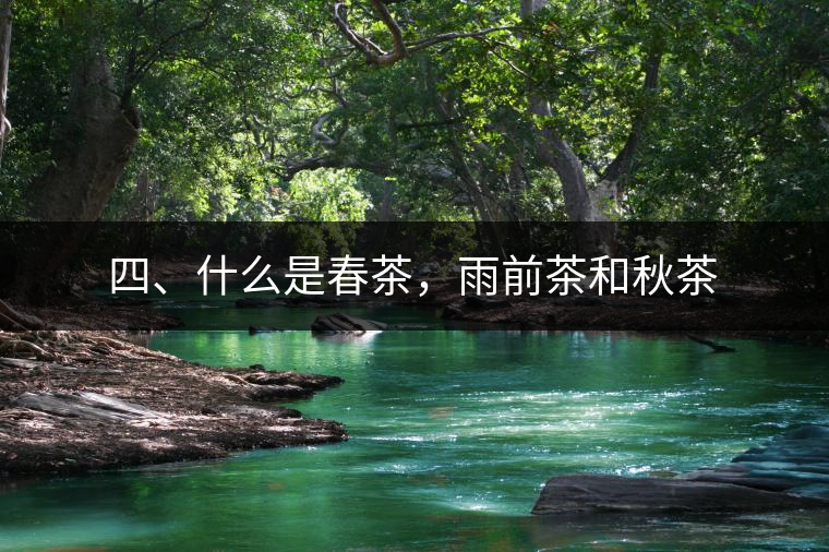 四、什么是春茶，雨前茶和秋茶