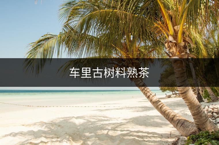 車里古樹料熟茶