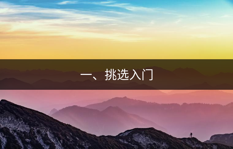 一、挑選入門