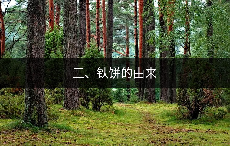 三、鐵餅的由來