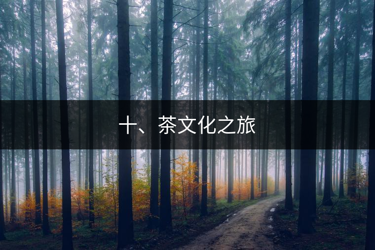 十、茶文化之旅