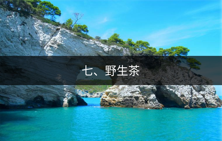 七、野生茶