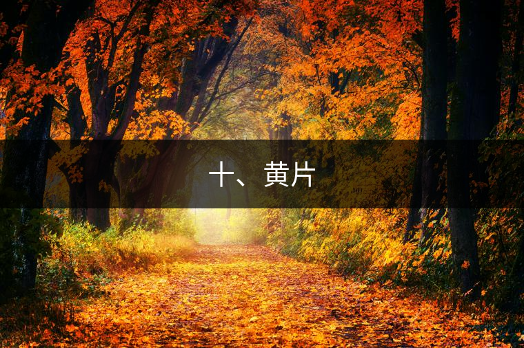 十、黃片