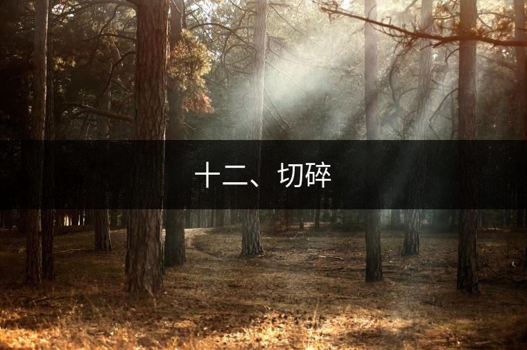 十二、切碎