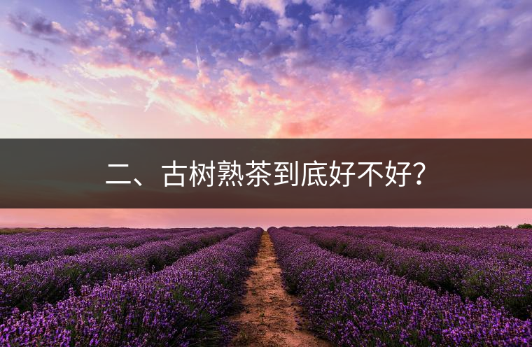 二、古樹(shù)熟茶到底好不好？