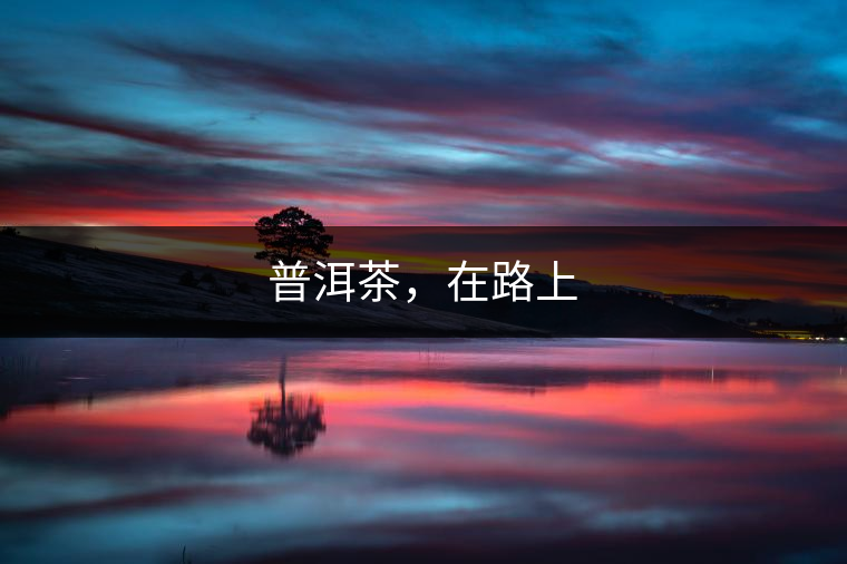 普洱茶，在路上