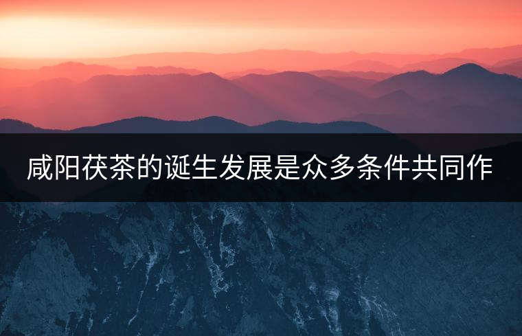 咸陽茯茶的誕生發(fā)展是眾多條件共同作用的結果。