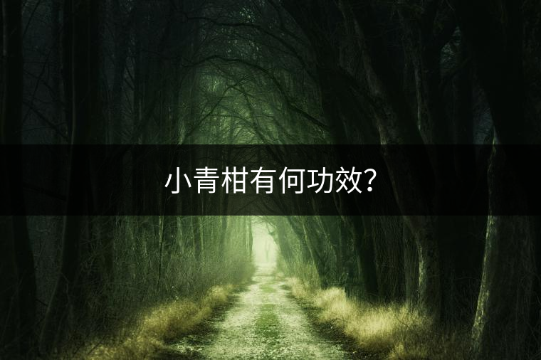 小青柑有何功效？