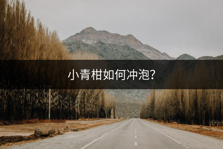 小青柑如何沖泡？