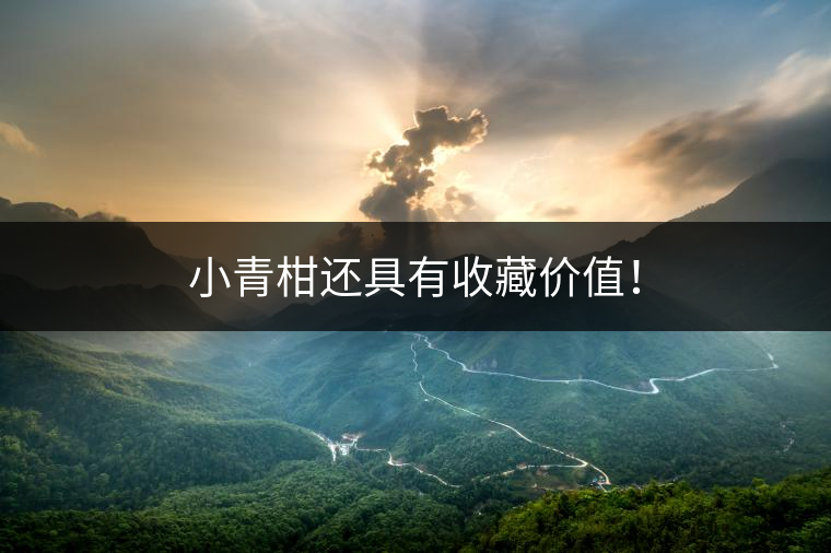 小青柑還具有收藏價(jià)值！