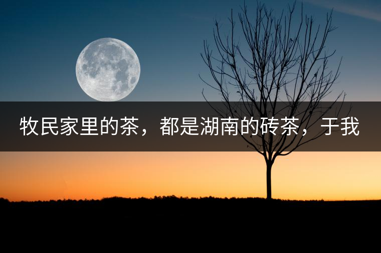 牧民家里的茶，都是湖南的磚茶，于我們而言不見得有多好，它們粗糙得看可見茶梗和樹枝，但于他們來說，卻是每日的生活必需品。端到桌上的茶碗，也是缺了口鋦過青花瓷碗，聞得見修補后的手溫，喝下加過鹽巴的磚茶，一身暖意，融化了深藏在發(fā)底的冰屑，溫暖著身心。