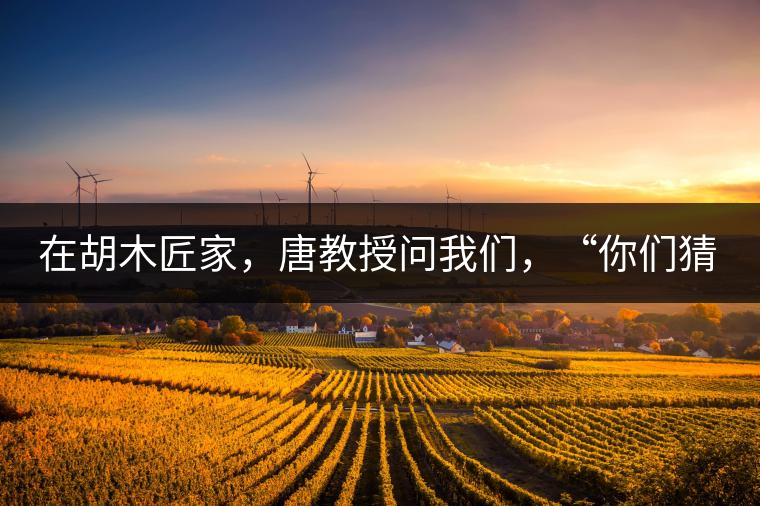 在胡木匠家，唐教授問我們，“你們猜猜他們家的茶放在哪里？”我們回答廚房、客廳都不對，“難道像寺院一樣，有專門的茶房不成？”教授和木匠都哈哈大笑，連連搖頭。在木匠的帶領下，我們來到主人的臥室，茶磚整齊有序地堆放在床頭柜里。一家之主的臥室，既是休息之所，亦是一家財富與傳家寶的收藏地。茶之精貴，毋需多言。