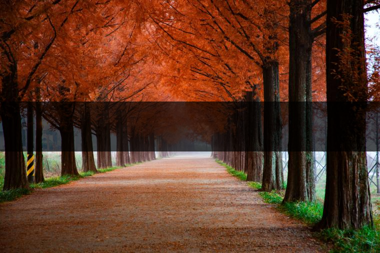 這樣的茶葉邊疆文化，也許是明代大學者解縉最樂意見到的。他曾說，中原最好的東西就是茶，而番人最好的就是馬。他贊同明廷茶馬互市的國策：茶之于夷人，如同中國之酒醴，因為茶馬貿易，許多夷人也開始學習中國的知識，對中國也有了向慕之心，那么茶的作用就很顯然，茶有著“夷夏之交，義利之辨，寅賓尚忠信而篤敬，河州固唐虞三代之邦也?！?茶不僅僅是一種飲品，還有其他。茶作為媒介，體現了觀念的變化。如今，隨著茶的傳播，各族人民有了更深入往來，通過貿易、文化、旅游等等。
陳渠珍從西藏抵達湟源區(qū)域時，也為這里的古風所震驚：“余皆漢番雜處。風俗婦女尚餞足，裙下蓮步不及三寸，服飾既古，文化尤卑，鄰居為私塾，當見一生久讀不能成誦，塾師罰之跪，以草圈罩頭上，頻加籌石，令其跪誦。余見駭然?！?
?
（摘自《海峽茶道》，2013年5期）