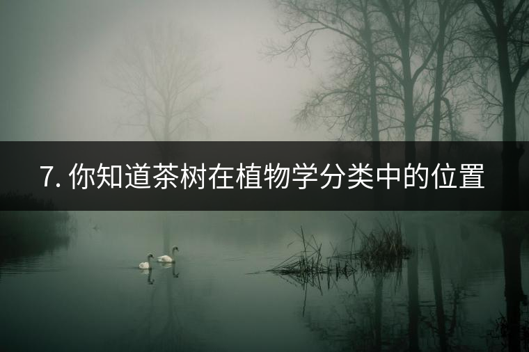 ??7. 你知道茶樹在植物學分類中的位置嗎？