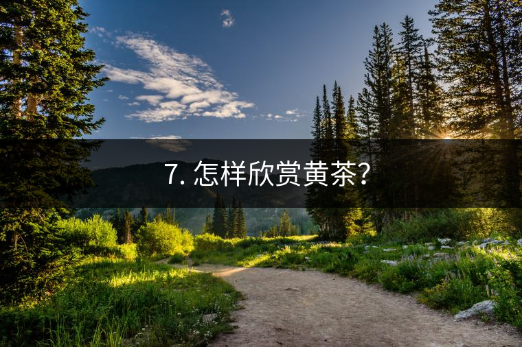 ? 7. 怎樣欣賞黃茶？