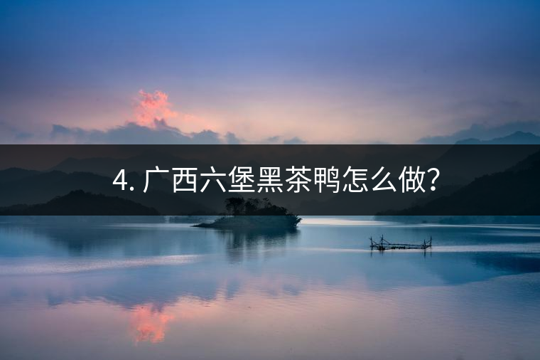? 4. 廣西六堡黑茶鴨怎么做？