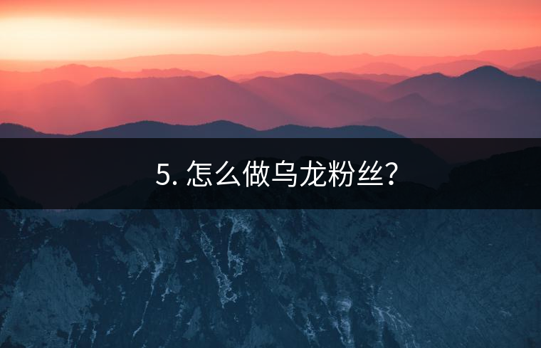? 5. 怎么做烏龍粉絲？