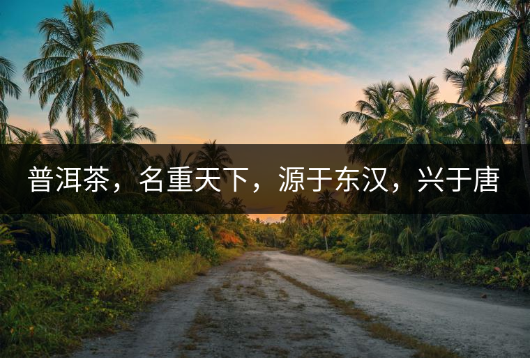 普洱茶，名重天下，源于東漢，興于唐宋，盛于明清。