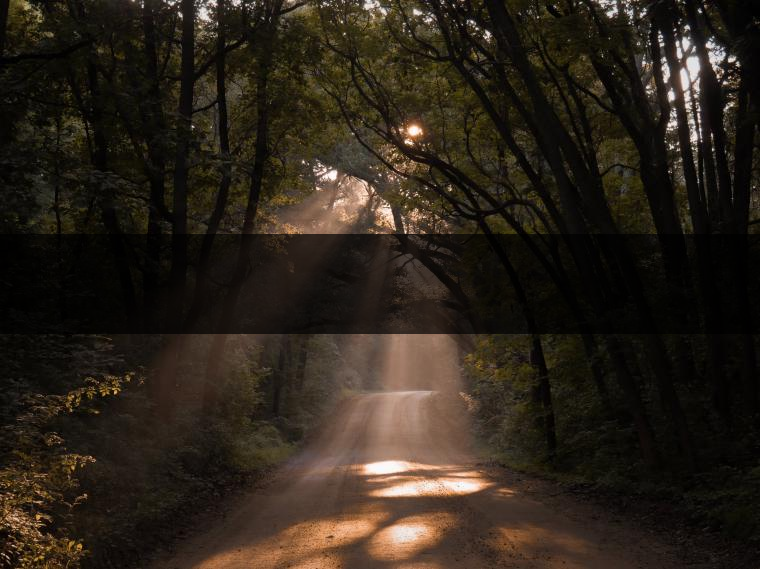 感受村村寨寨的茶俗茶藝 感受村村寨寨的茶俗茶藝