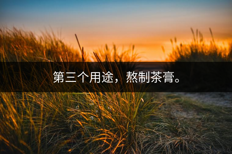 第三個(gè)用途，熬制茶膏。