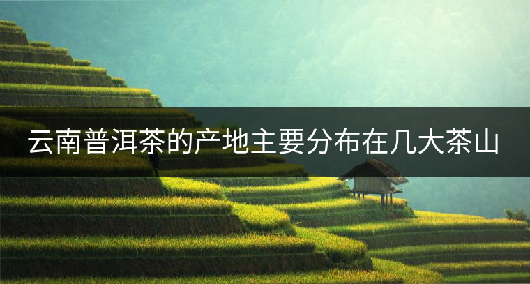 云南普洱茶的產(chǎn)地主要分布在幾大茶山，普洱茶古茶山以瀾滄江為界劃分為