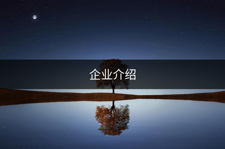 企業(yè)介紹