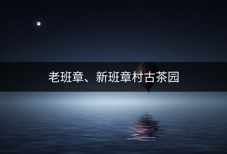 老班章、新班章村古茶園