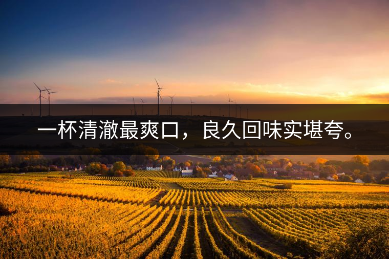 若能一日車船至，從此美名滿天涯。