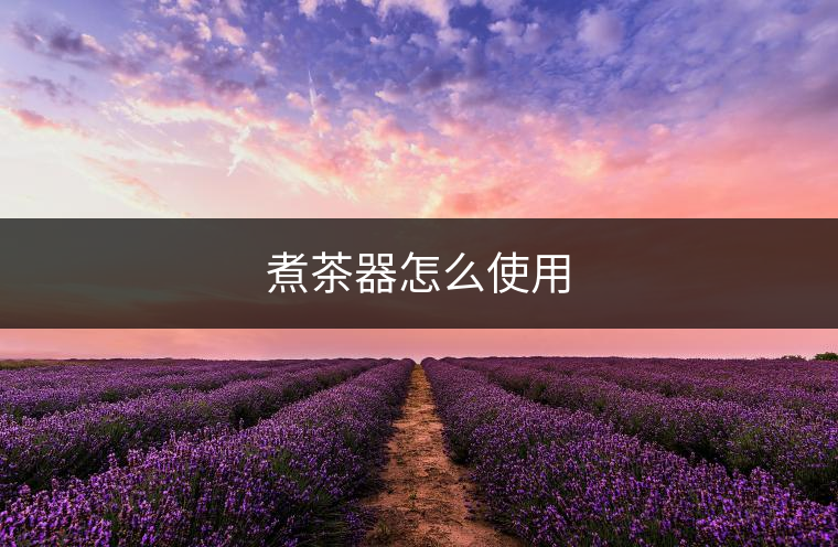 煮茶器怎么使用 煮茶器怎么使用
