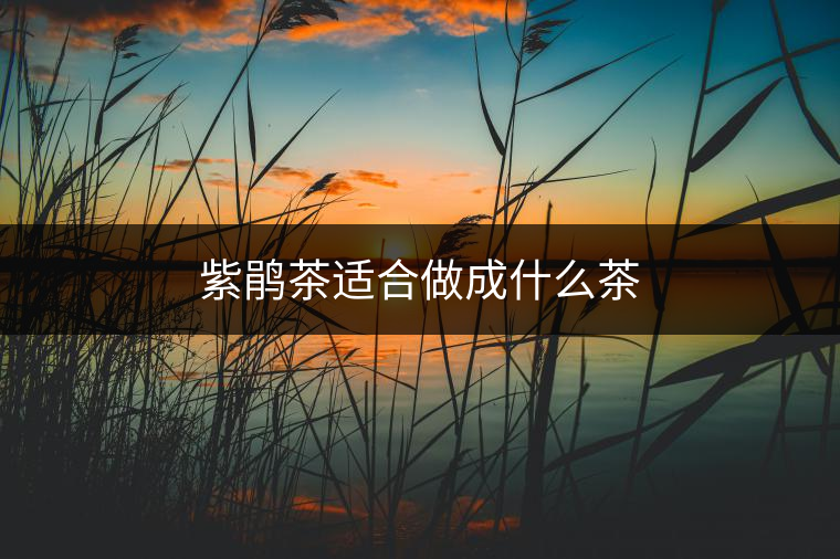 紫鵑茶適合做成什么茶