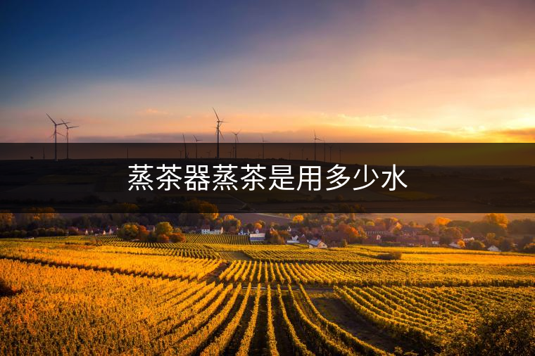 蒸茶器蒸茶是用多少水