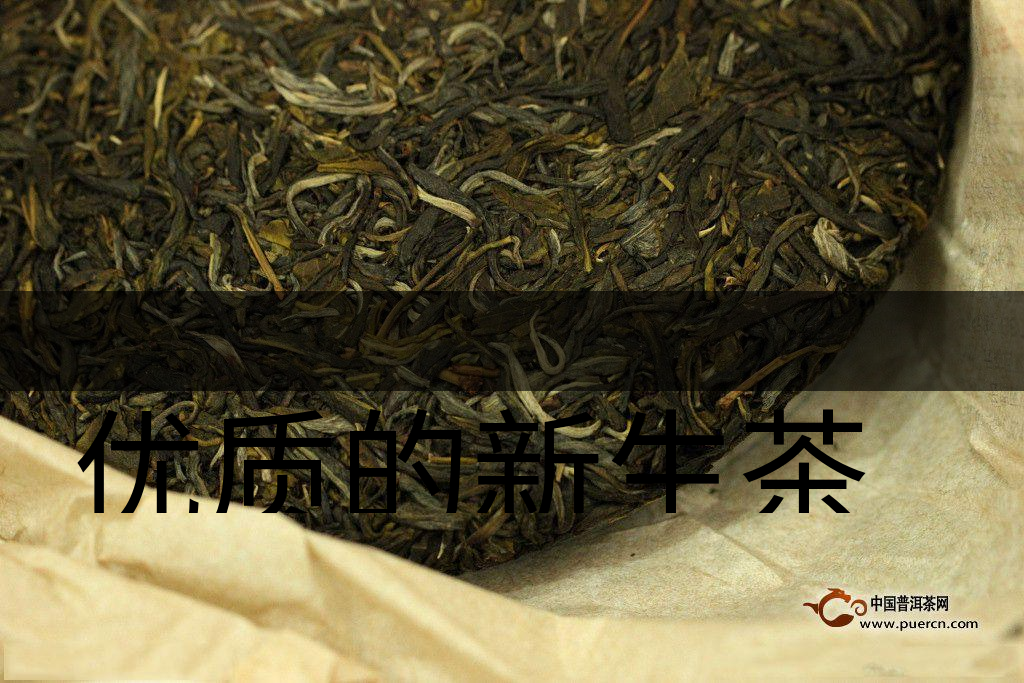 優(yōu)質(zhì)的新生茶是什么樣的？