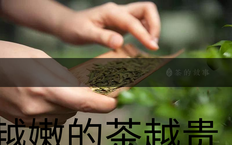 越嫩的茶越貴，但越貴的茶就越好嗎？