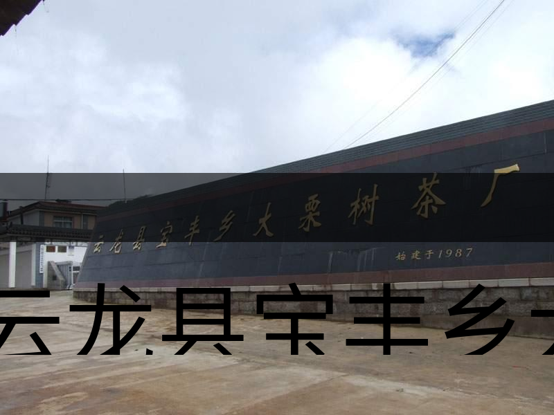 云龍縣寶豐鄉(xiāng)大栗樹茶廠簡述-1