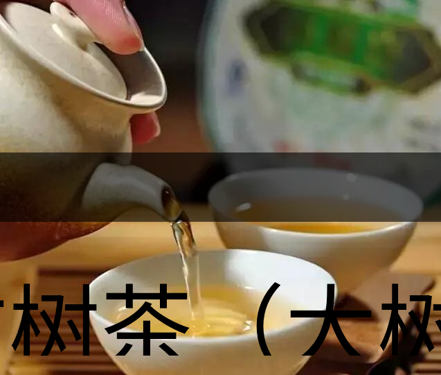 古樹(shù)茶（大樹(shù)茶）葉底特征辨別-1-1
