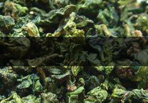 青茶什么時(shí)候泡好-怎么喝減肥-1