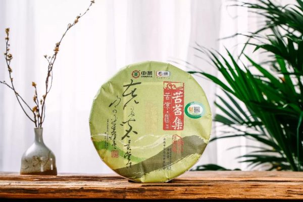 中茶苦涼 | 干倉陳化，湯厚味苦