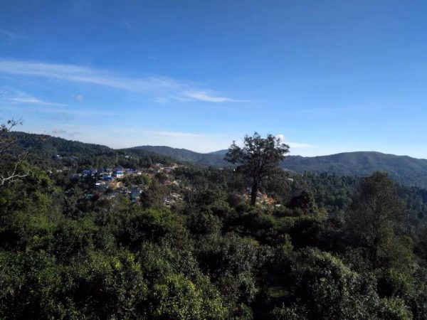 蘭香賀開，甘甜賀開