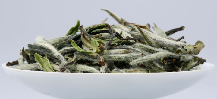 白茶的制作工藝（陳財制茶）