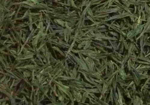 什么是海青茶？沖泡手法詳細(xì)教學(xué)！